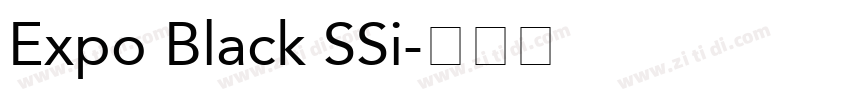 Expo Black SSi字体转换